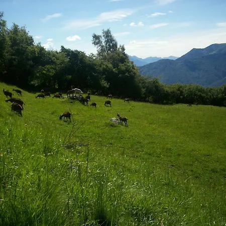 Alpe Di Sala *